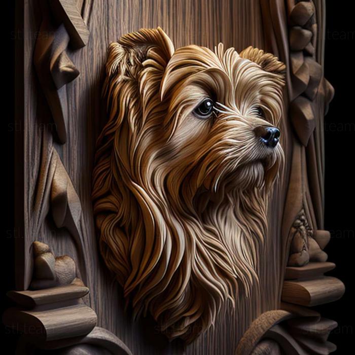 Medium Vendean Griffon dog